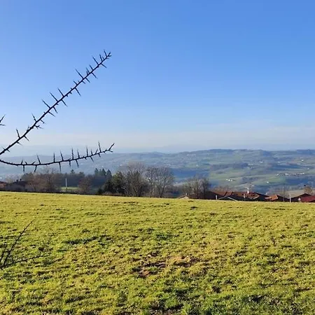 Au Calme Dans Corps De Ferme Larajasse